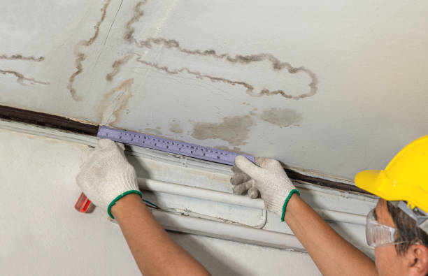Reliable Basement Water Removal contractor in Portland, MI by Water Damage Irwin